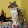 Отзыв от Эльвира Демина